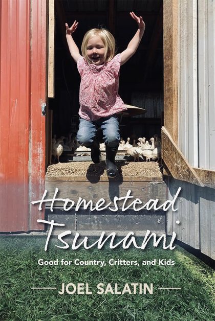 Homestead Tsunami