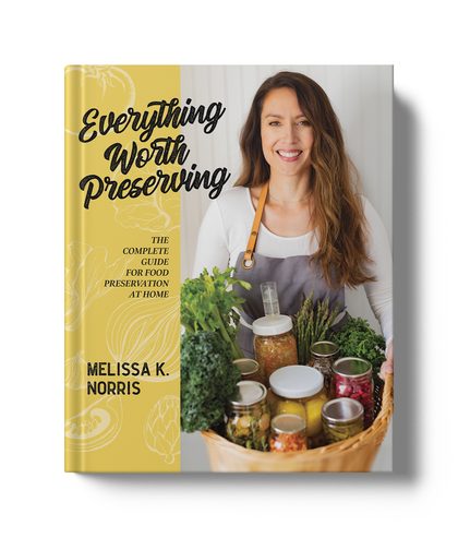 Everything Worth Preserving
