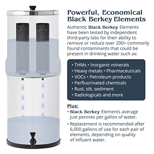 Royal Berkey Gravity-Fed Water Filter System 3.25 Gallon with 2 Black Berkey Elements, 2 Berkey PF-2 Fluoride and Arsenic Reduction Elements Royal Berkey Gravity-Fed Water Filter System 3.25 Gallon with 2 Black Berkey Elements, 2 Berkey PF-2 Fluoride and Arsenic Reduction Elements