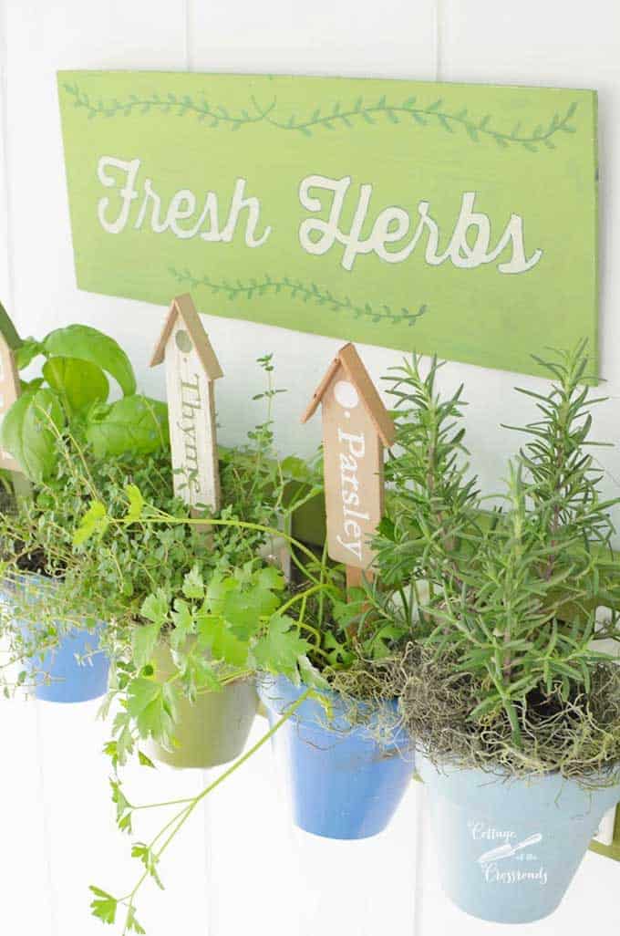 fresh herbs hanging garden