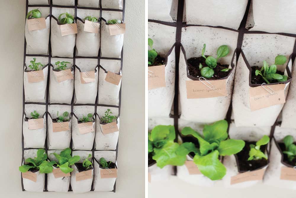 shoe organiser herb garden
