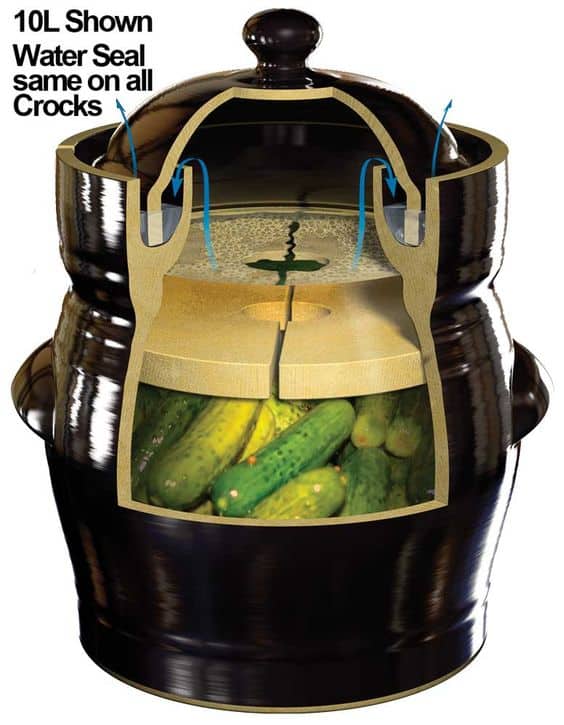 How a fermentation crock works cutaway diagram